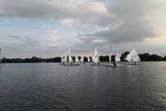 IMG-20210203-WA0019