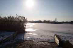 IMG-20210215-WA0010
