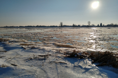 IMG_20210213_154426905_HDR
