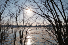 IMG_20210213_154221626_HDR